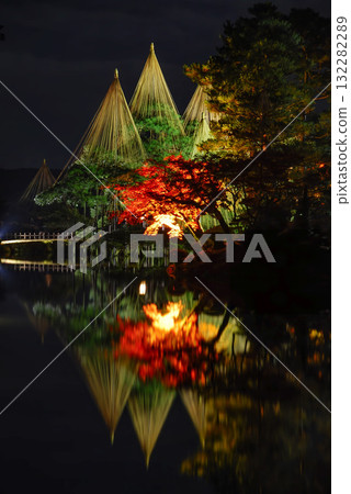Kenrokuen Garden's Yukitsuri and illuminated autumn leaves (Ishikawa) 132282289