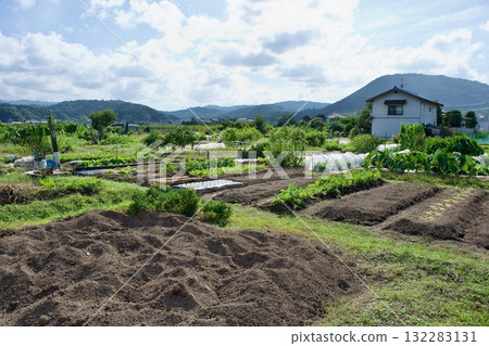 A sunny day in early autumn at a rented farm A sunny day in early autumn at a rented farm 132283131