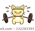 Cat doing muscle training 132283393