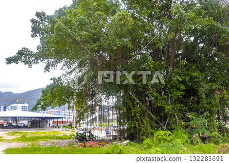 Apartment hotel building and huge tropical trees jungle nature Thailand. Apartment hotel building and huge tropical trees jungle nature Thailand. 132283691