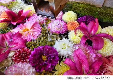 Kusatsu Onsen: Flower water basin at Shirane Shrine (Kusatsu, Kusatsu Town, Agatsuma District, Gunma Prefecture) 132283868
