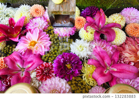 Kusatsu Onsen: Flower water basin at Shirane Shrine (Kusatsu, Kusatsu Town, Agatsuma District, Gunma Prefecture) 132283883