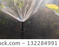 Spray head sprinkler watering in backyard. 132284991