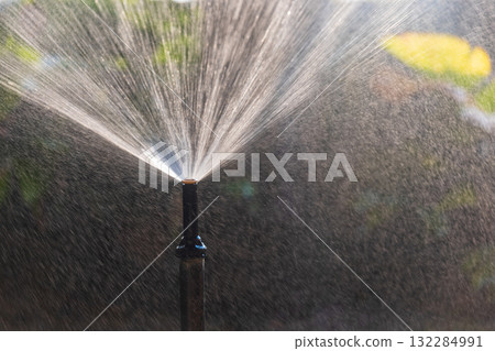 Spray head sprinkler watering in backyard. 132284991