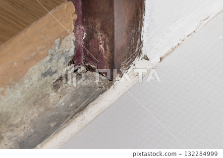 The base of the door frame is rotten and underground insects pass through in room The base of the door frame is rotten and underground insects pass through in room 132284999