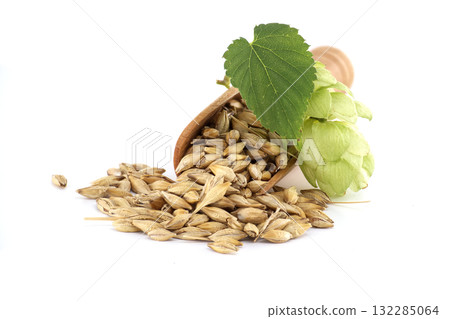 Close-Up of Barley Grains with Hops and Fresh Leaf 132285064