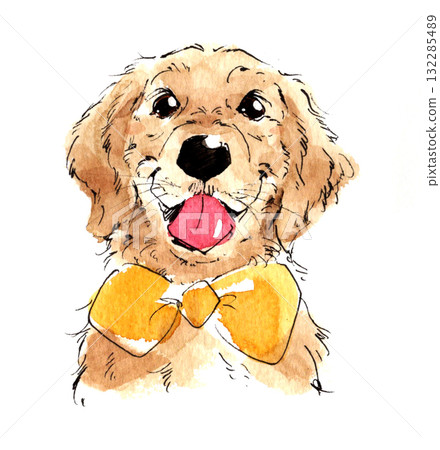 水彩畫的黃金獵犬 132285489