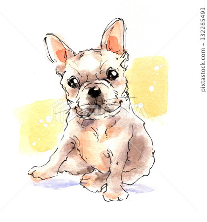 水彩畫的法國鬥牛犬 132285491