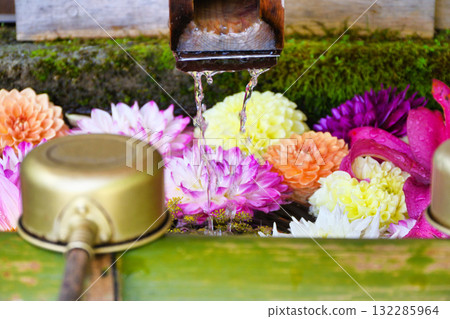 Kusatsu Onsen: Flower water basin at Shirane Shrine (Kusatsu, Kusatsu Town, Agatsuma District, Gunma Prefecture) 132285964