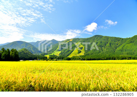 View of Hakuba Goryu Ski Resort (Hakuba Village, Nagano Prefecture) [September 2025] 132286905