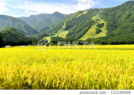 白馬五龍滑雪場景觀（長野縣白馬村）[2025年9月] 132286906