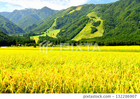 白馬五龍滑雪場景觀（長野縣白馬村）[2025年9月] 132286907