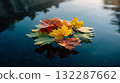 Vibrant autumn leaves floating on tranquil water surface in serene outdoor setting 132287662
