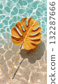 Yellow monstera leaf floating in clear water with sunlight reflections 132287666