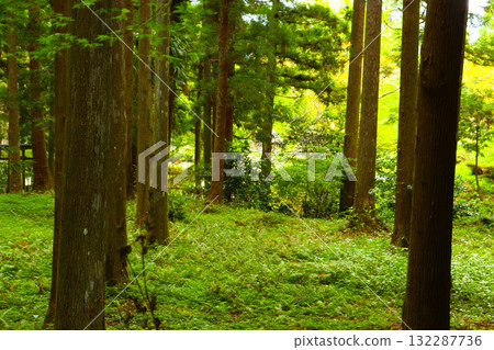 若狹 Uriwari 著名水上樂園 若狹 Uriwari 著名水上樂園 132287736