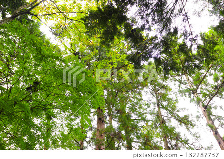 若狹 Uriwari 著名水上樂園 若狹 Uriwari 著名水上樂園 132287737