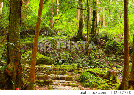 若狹 Uriwari 著名水上樂園 若狹 Uriwari 著名水上樂園 132287738