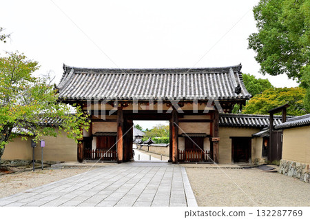 Horyuji Temple 132287769