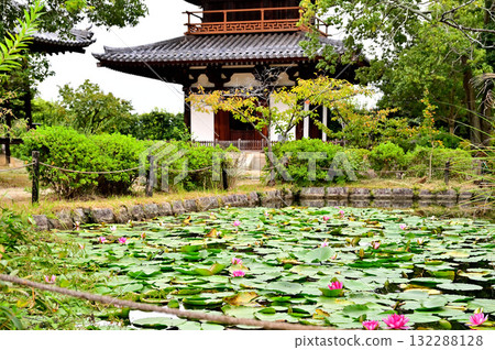 Hokiji Temple grounds, three-story pagoda Hokiji Temple grounds, three-story pagoda 132288128