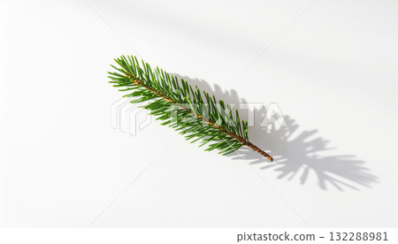 A flat lay photograph of a single fir branch casting a sharp shadow on a clean white background, creating a minimalist winter or Christmas concept. 132288981