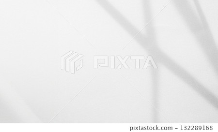Shadow Background Abstract Leave Overlay Wall Floor Light Effect White Plant Sunlight Backdrop Mockup Minimal Spring Summer Nature Grey blur Photography Scene Template Poster Card Frame Product. 132289168