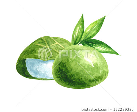 日本甜點例證材料 日本甜點例證材料 132289383