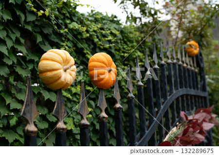 Halloween Halloween 132289675