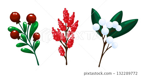 Winter Berries and Plants Set 132289772