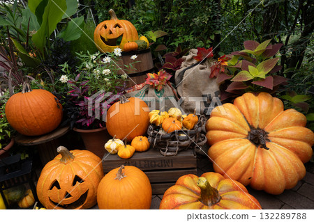 萬聖節 132289788