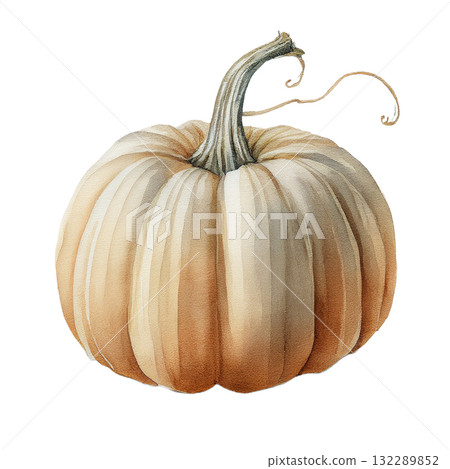 南瓜插畫素材 132289852
