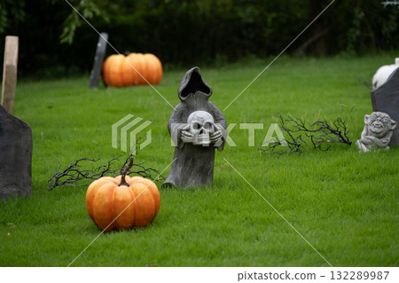 Halloween 132289987