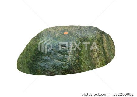 stone covered with moss isolated on white background 132290092