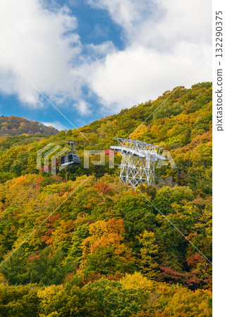 Autumn leaves on Mt. Moiwa_1415 132290375