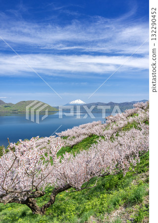 壯瞥町壯瞥公園的羊蹄山、洞爺湖和梅樹林 壯瞥町壯瞥公園的羊蹄山、洞爺湖和梅樹林 132290452