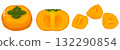 Persimmon illustration 132290854