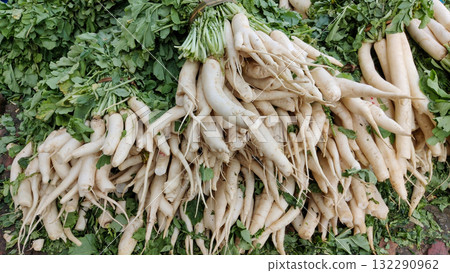 Fresh white radish bunches placed on roadside for sale in Islamabad vegetable market showing rural harvest and local trade 132290962