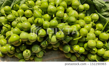 Pile of fresh bottle gourd placed on ground at local vegetable market showing natural farming and rural life 132290965
