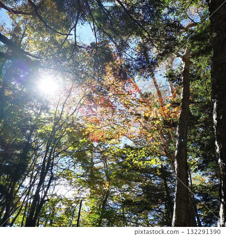 Autumn Mt. Kushigatake 132291390