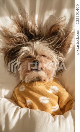 Sleepy yorkshire terrier in yellow sweater lying on cozy white bed Sleepy yorkshire terrier in yellow sweater lying on cozy white bed 132291409