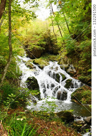 [Minamiaiki Village: Tateiwa Falls, Maetaki (Named for "Subetaki"), a 15m waterfall located directly below the village's symbolic Tateiwa Rock] 132291500
