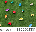 climbing buttons on artificial green grass wall 132291555