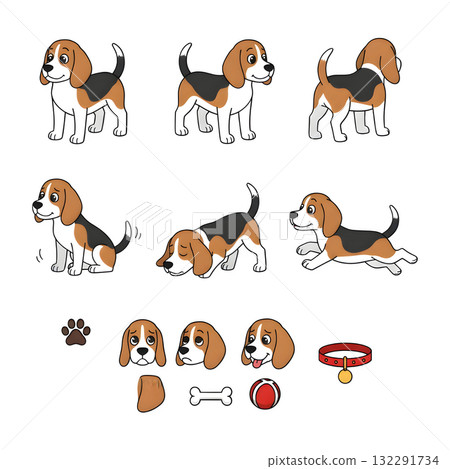 Set of beagle dog character. illustration design 132291734