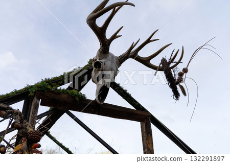 Deer skeleton with antlers on the roof of the house 132291897
