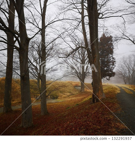 Shingen Tsutsumi Park Fog Autumn 132291937