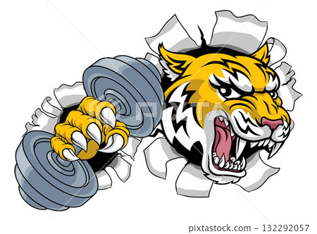 Wildcat Bobcat Weight Lifting Dumbbell Mascot Wildcat Bobcat Weight Lifting Dumbbell Mascot 132292057