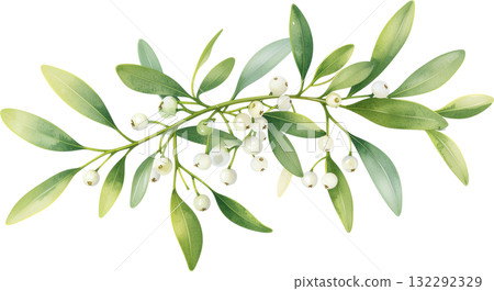 A delicate watercolor illustration of a mistletoe branch with green leaves and white berries, isolated on a white background. A delicate watercolor illustration of a mistletoe branch with green leaves and white berries, isolated on a white background. 132292329