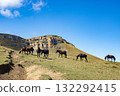 A herd of horses in the caucasian mountains on green grass in a meadow. Dagestan. Symbol of year 2026 132292415