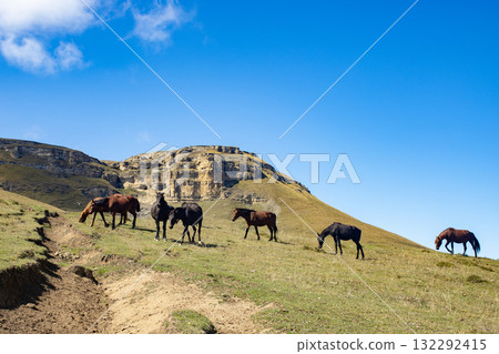 A herd of horses in the caucasian mountains on green grass in a meadow. Dagestan. Symbol of year 2026 132292415