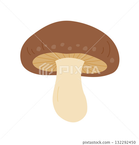 Shiitake mushroom illustration without main lines 132292450