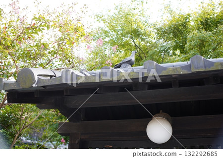 Japanese-style entrance light 132292685